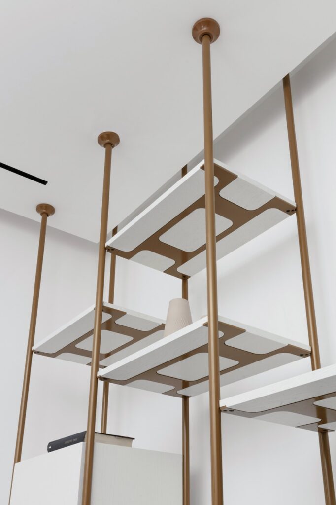 ספריה רפאלי