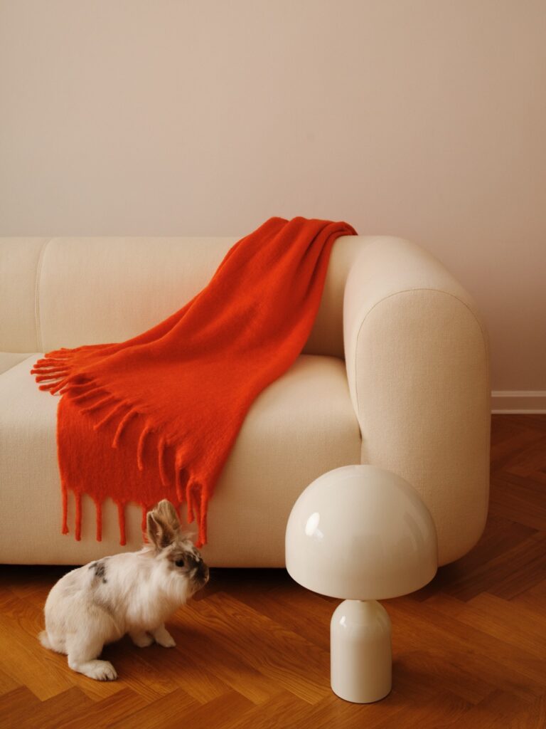 Plump Sofa