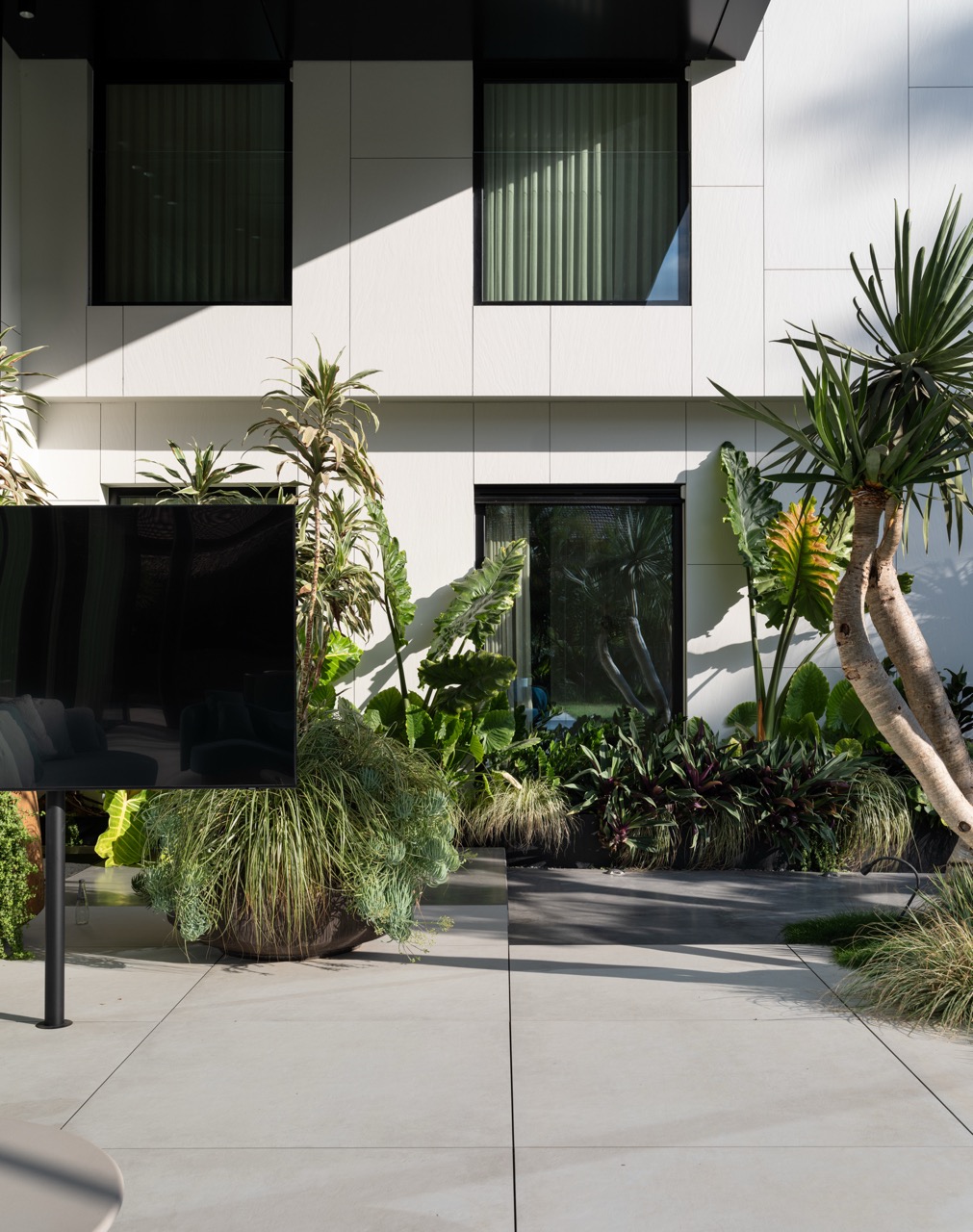 ‏niso_yaish_ic_102