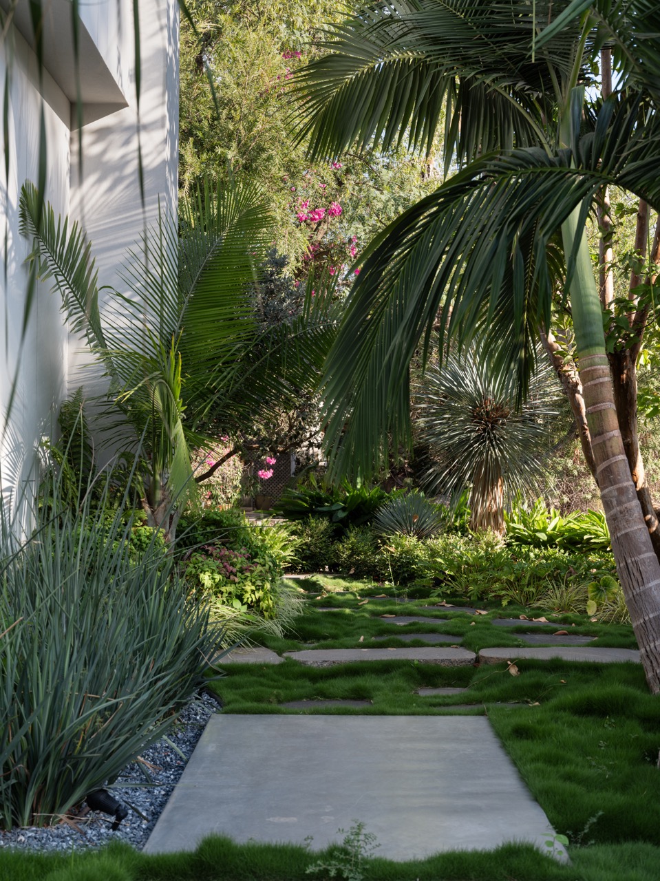 ‏niso_yaish_ic_105