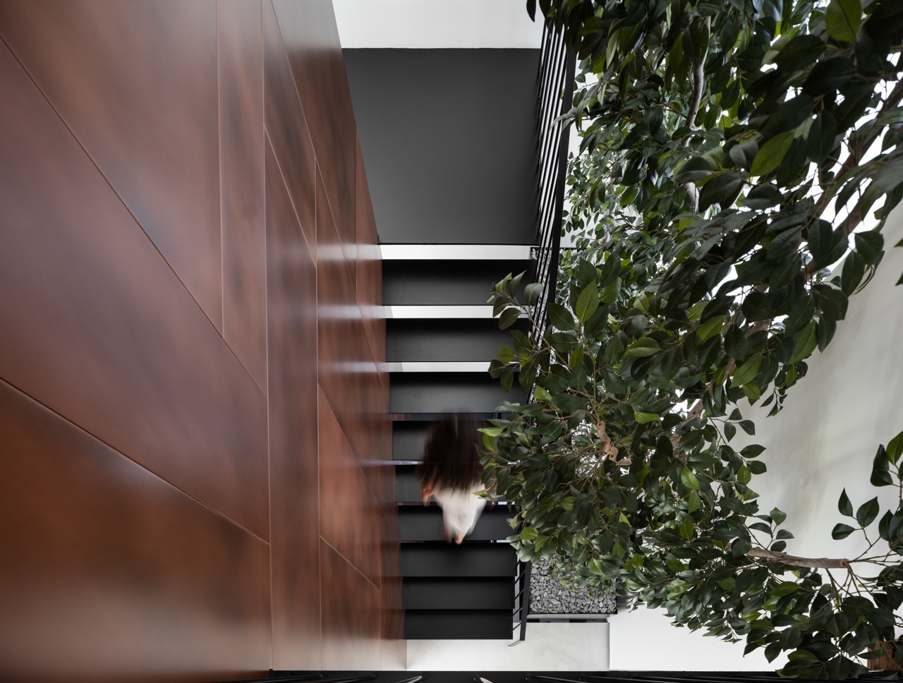 ‏niso_yaish_ic_147(2)