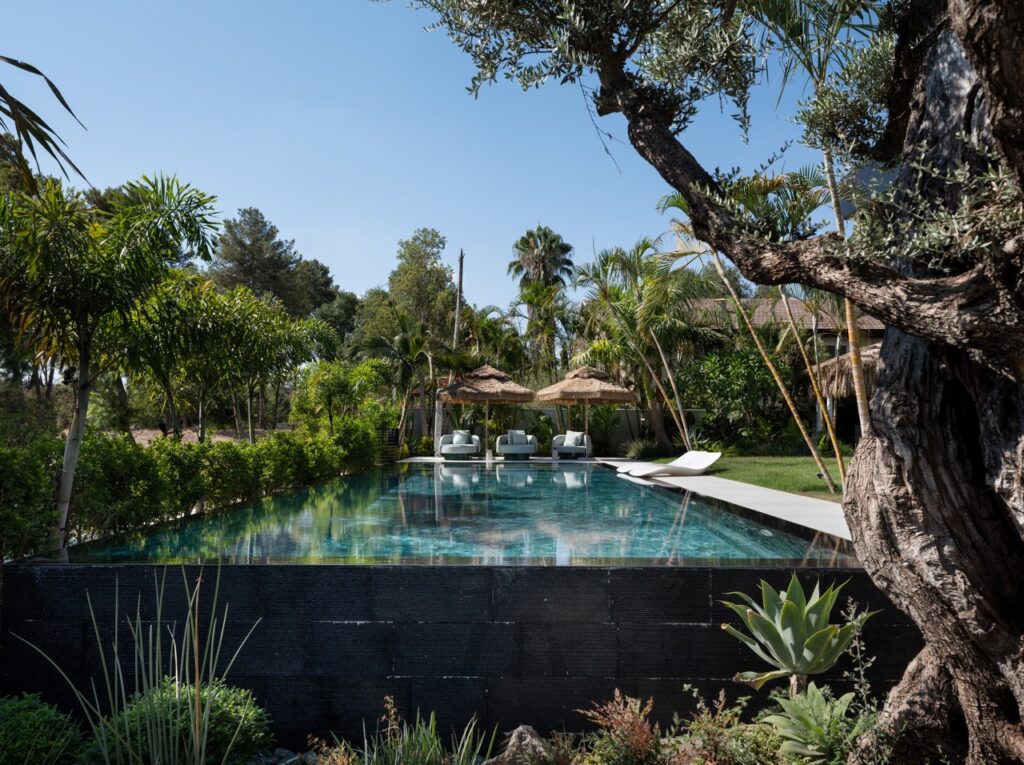 כורסא אלינור