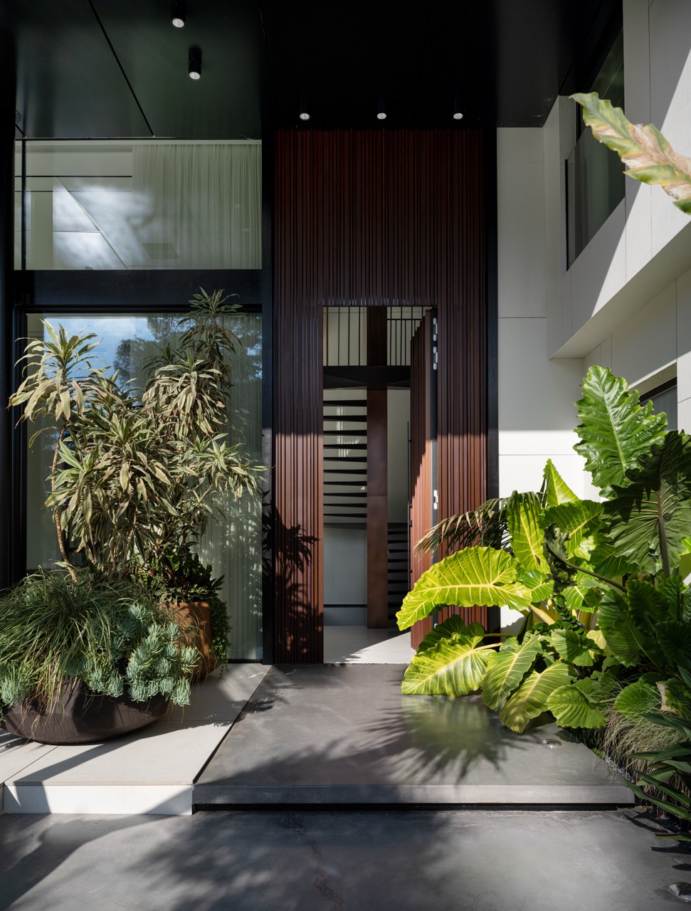 ‏niso_yaish_ic_91(2)