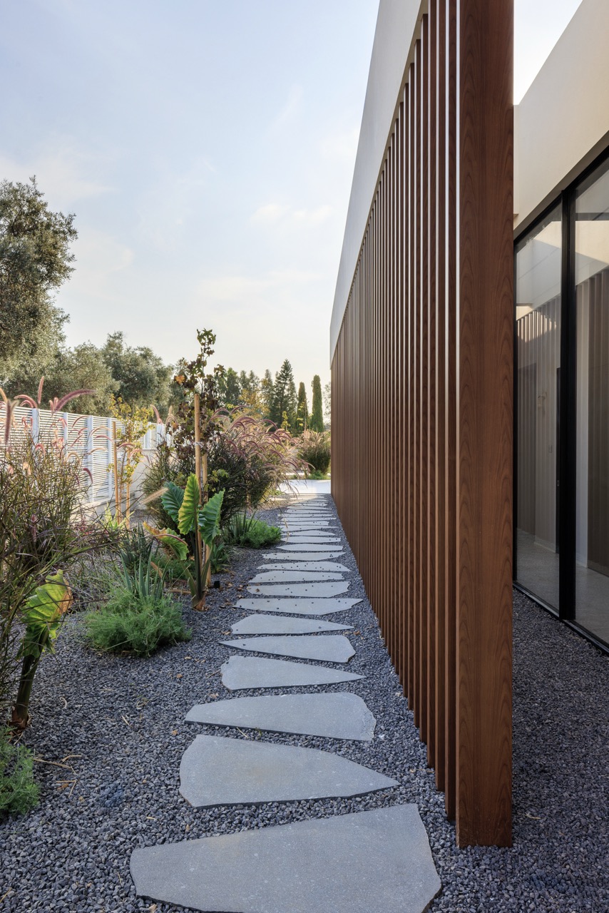 ‏niso_shisman_gc_7993